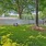 tree shaded dog park at Briarhill Atlanta apartments in Atlanta, GA