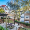 Pergola with Grills and picnic Tables